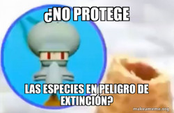 What the Sigma Squidward