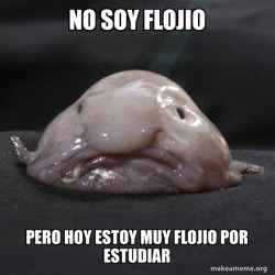 Blobfish
