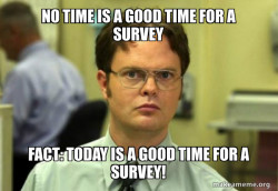 Schrute Facts (Dwight Schrute from The Office)