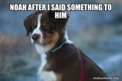 Unsure Dog