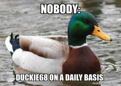 Duck = Duckie68