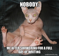 Hairless Cat
