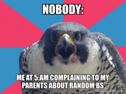 me at 5:am