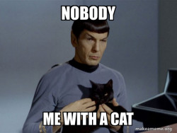 Spock and Cat Meme