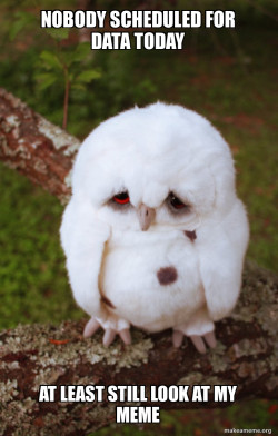 Sad Owl