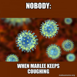 Coronavirus ( COVID-19 )