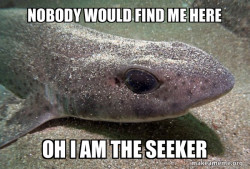 Dirty Joke Dogfish