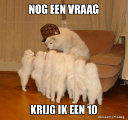 Scumbag Storytelling Dog
