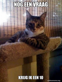 The Most Interesting Cat in the World