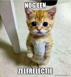 Cute Cat Standing