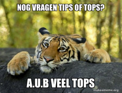 Confession Tiger