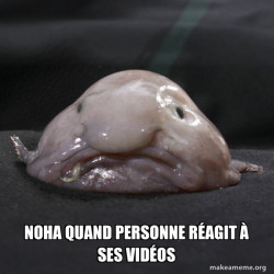 Blobfish