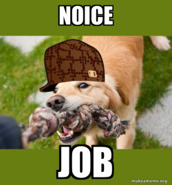 Scumbag dog