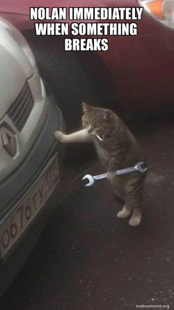 Mechanic Cat