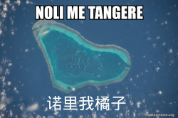 Noli me Tangere - è¯ºéææ©å­