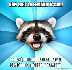 Lame Pun Coon