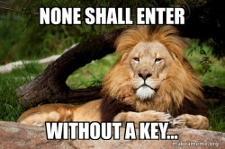 Contemplative Lion