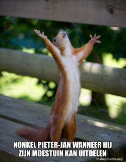 Happy Squirrel
