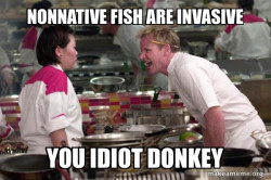 Gordon Ramsay