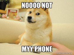 Doge