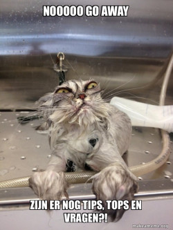 Cat Bath Returns