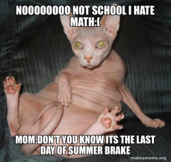 Hairless Cat