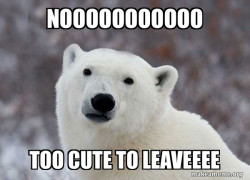Popular Opinion Polar Bear