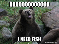 Sarcastic Bear