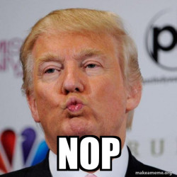 Donald Trump Kissing