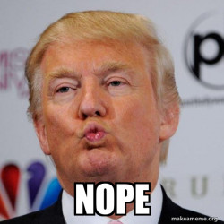 Donald Trump Kissing