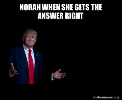 Trump Everything is FIne