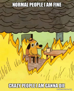 This Is Fine