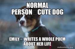 Unsure Dog