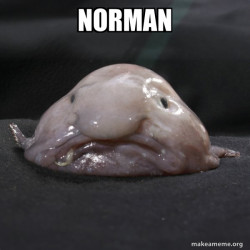 Blobfish