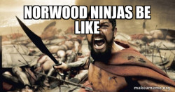 The 300