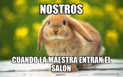 Regretful Rabbit