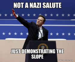 Nazi Elon