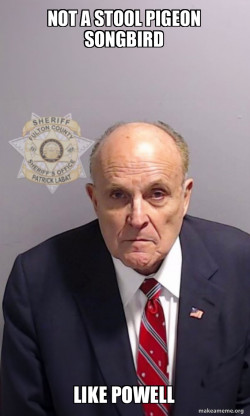 Rudy Giuliani Mugshot