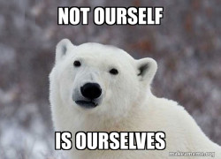 Popular Opinion Polar Bear