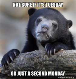 Confession Bear