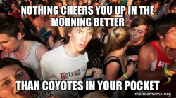 Sudden Clarity Clarence