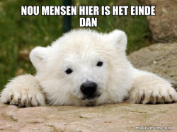 Popular Opinion Bear