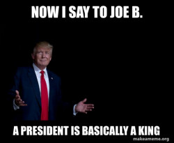 Trump Everything is FIne