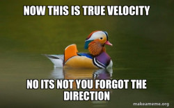 Fashionable Advice Mallard