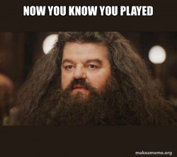 Hagrid - I should not have said that