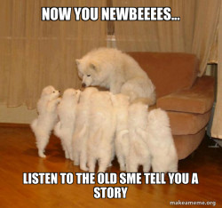Storytelling Dog