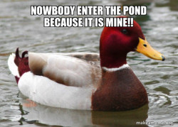 The heated duck 