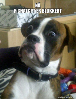 Skeptical Dog