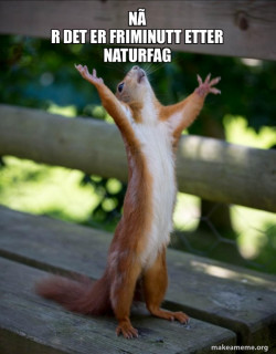 Happy Squirrel
