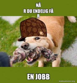 Scumbag dog